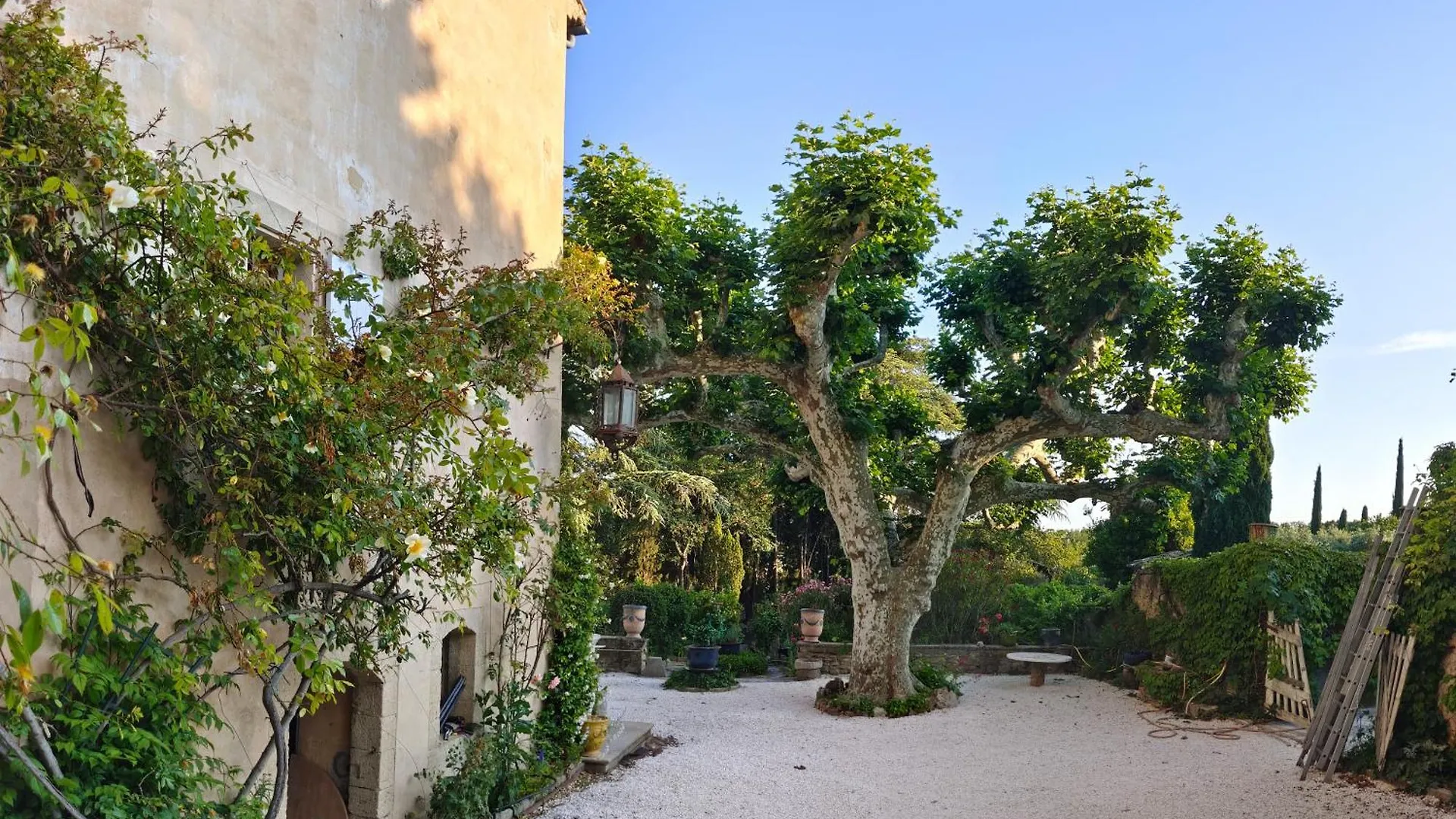 Rue Du Chateau A Cabrieres D'Avignon Bed & Breakfast
