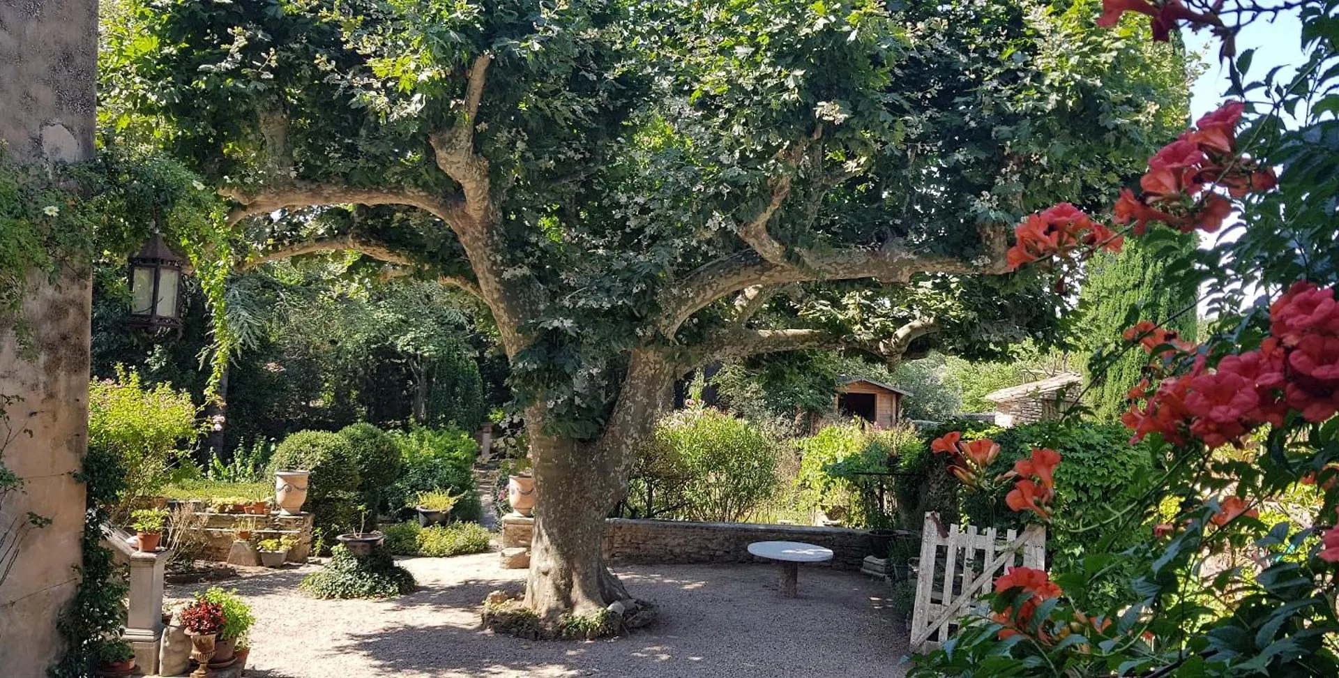 Rue Du Chateau A Cabrieres D'Avignon Bed & Breakfast